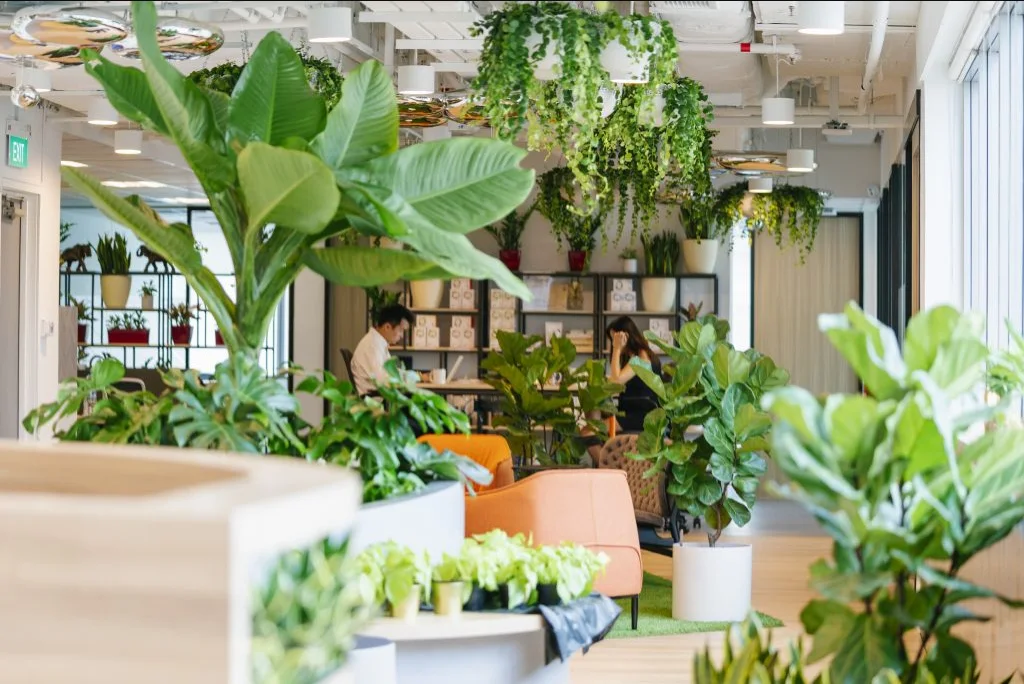 O2Work coworking lounge surrounded by indoor plants