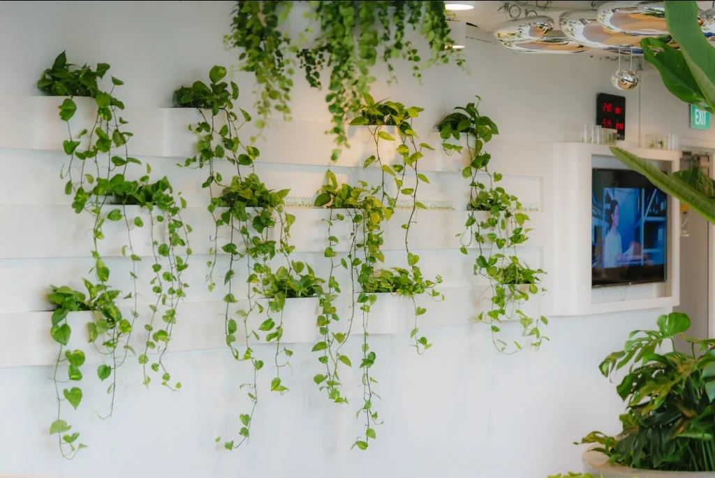 A living plant wall inside O2Work's coworking space